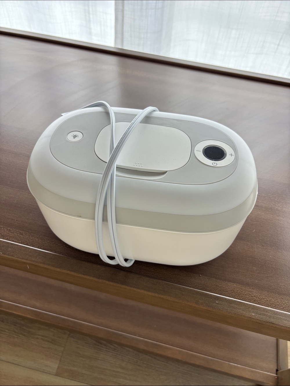 Wipe warmer